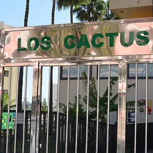 Cactus , Playa del Inglés Spagna